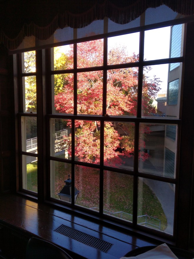 IMG_20161024_083720104