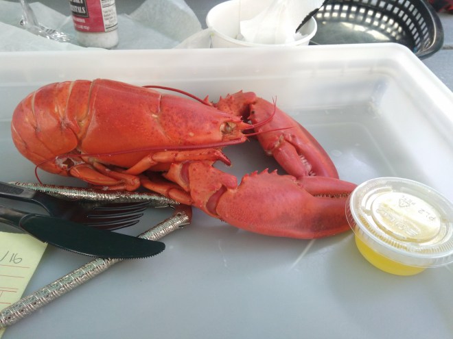 IMG_20161026_133306166