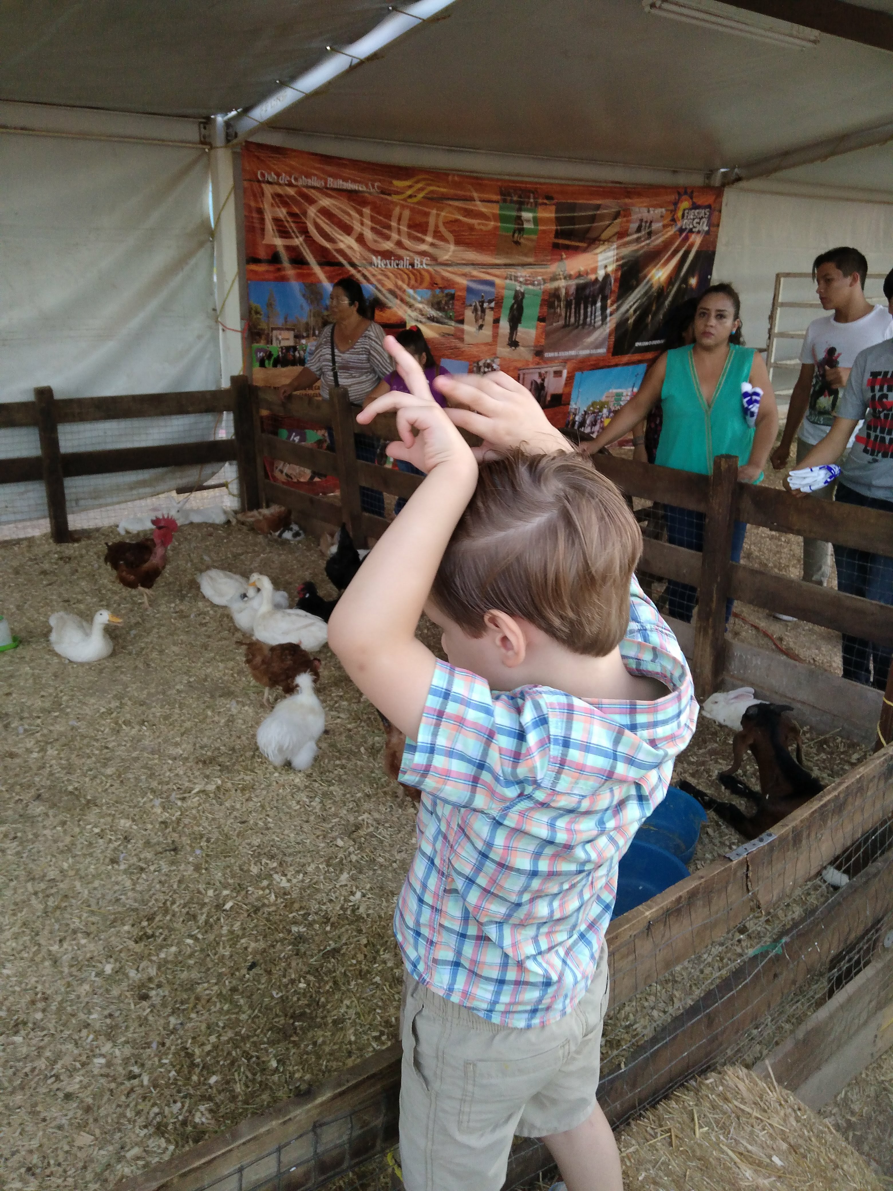 IMG_20161016_175449887